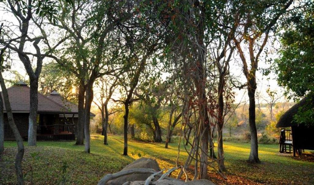 Idube Game Reserve Sabi Sand Game Reserve Luaran gambar