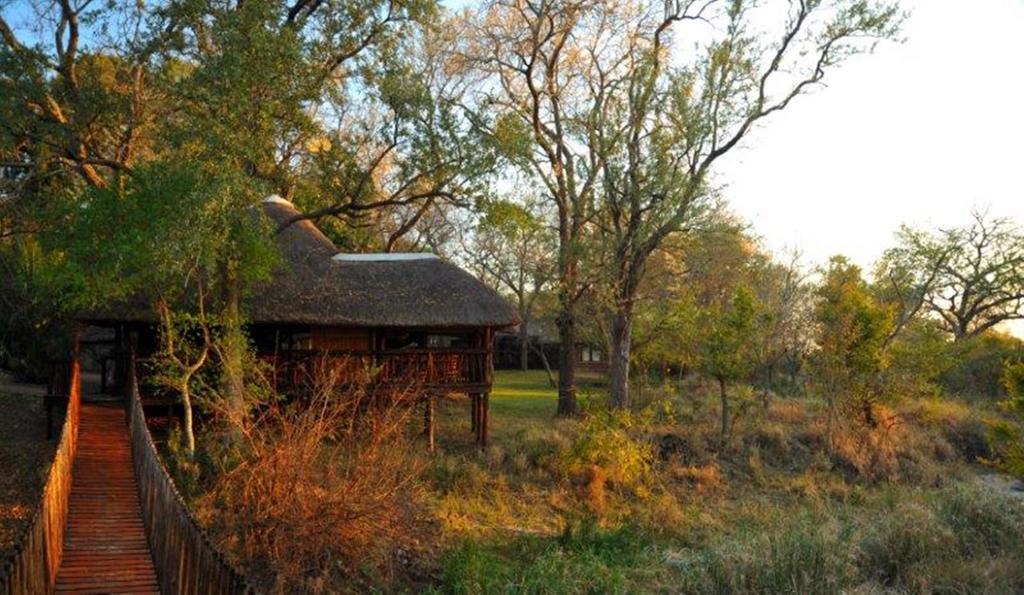 Idube Game Reserve Sabi Sand Game Reserve Bilik gambar